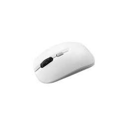 RATON APPROX NEGRO/ BLANCO