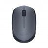 Logitech M170